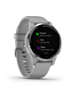 OROLOGIO GARMIN VIVOACTIVE 4S GREY SILVER 010-02172-02